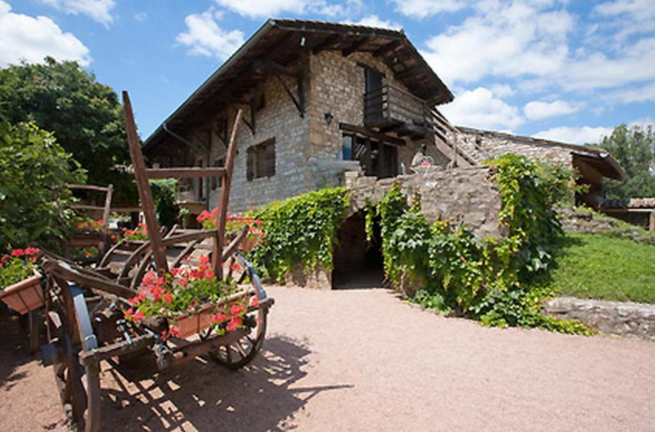 Logis Hotel Restaurant La Vieille Ferme, Macon Nord Sance Екстер'єр фото